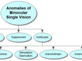 Anomalies of Binocular Single Vision Concept Map