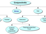 Conjunctivitis Concept Map