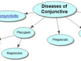 Diseases of the Conjunctiva Concept Map