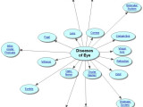 Diseases of the Eye Concept Map