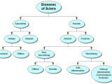 Diseases of Sclera Concept Map