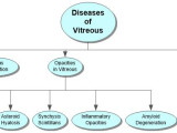 Diseases of Vitreous Concept Map