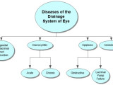Diseases of Drainage System of Eye Concept Map