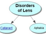 Disorders of Lens Concept Map