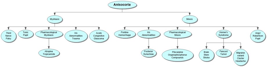 Anisocoria Concept Map