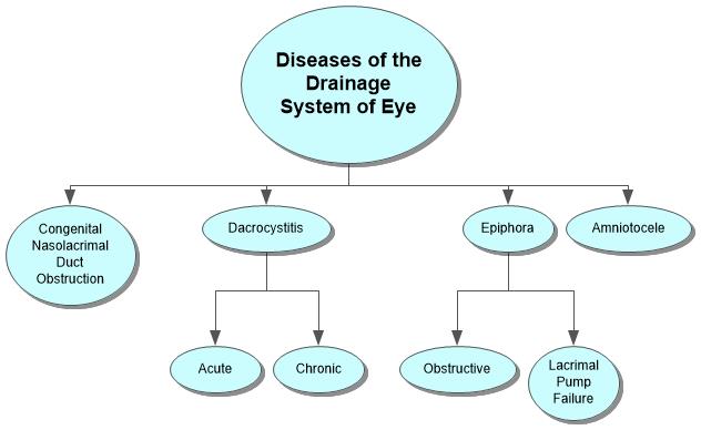 Diseases of the Drainage System of Eye Concept Map