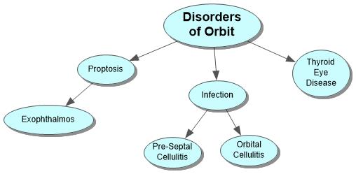 Disorders of Orbit Concept Map