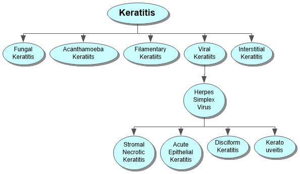 Keratitis Concept Map