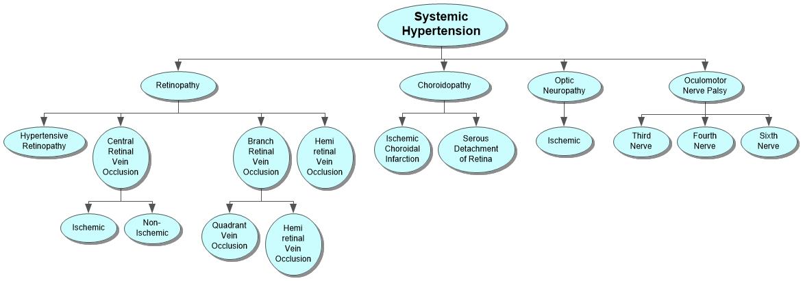 Systemic Hypertension Concept Map