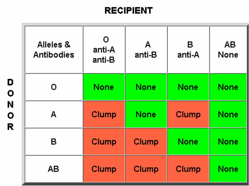 Blood Group Incompatibility