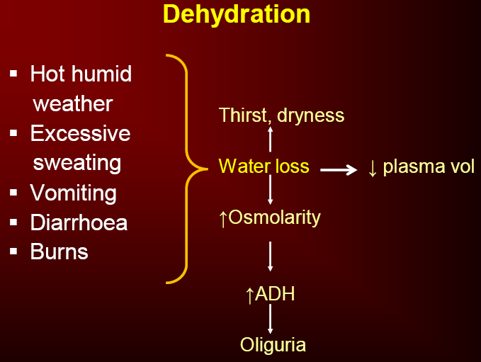 Body Fluids and Fluid Compartments