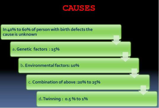 what causes birth defects