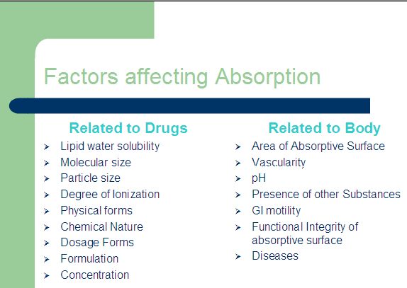 drug absorption in the body