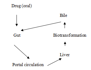 Pharmacodynamics & Pharmacokinetics Made Ridiculously Simple