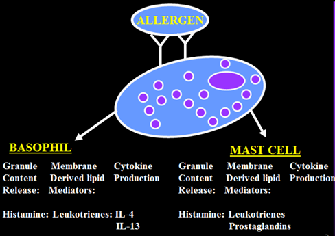 Corticosteroid drugs include