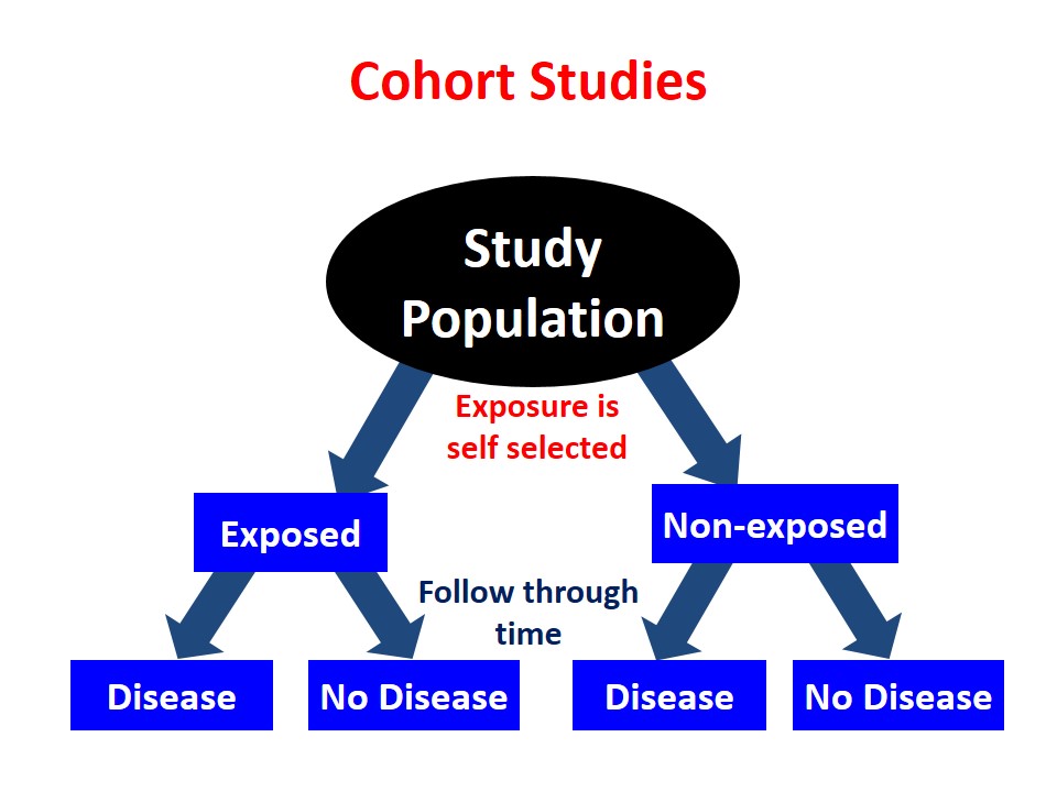 Cohort Studies Howmed