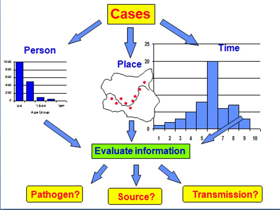 outbreak investigation - types of epidemics and investigating them