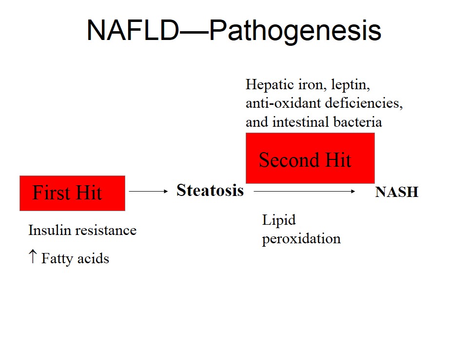 NAFLD Pathogenesis