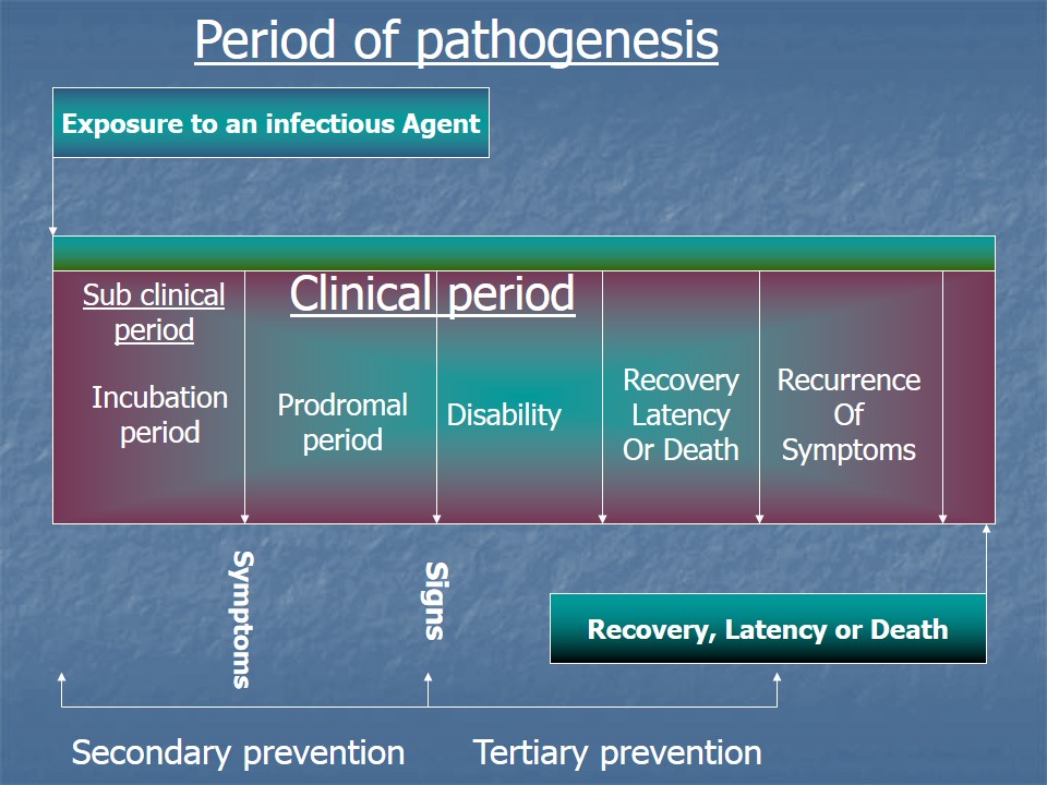 period of pathogenesis