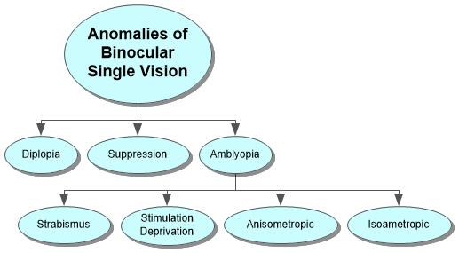Anomalies of Binocular Single Vision Concept Map
