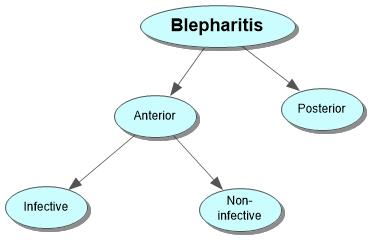 Blepharitis Concept Map