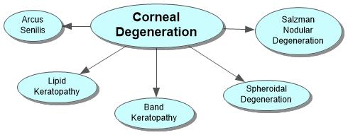 Corneal Degeneration Concept Map