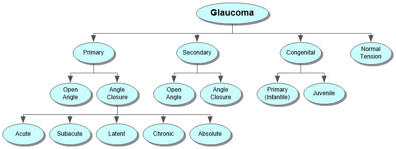 Glaucoma Concept Map