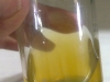 brain-heart-infusion-2