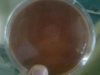 chocolate-agar-3