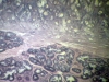 Elastic cartilage -5