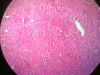 hydropic-change-3