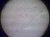 hydropic-change-4