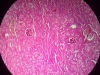 hydropic-change-5