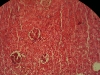 hydropic-change-6