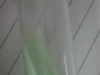 lowenstein-jensen-medium-1