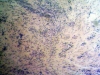 smooth-muscle-4