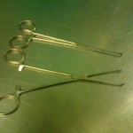 Allis forceps