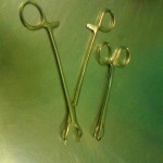 Lane's tissue holding forceps