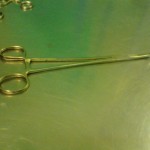 O' Shungesi Forceps