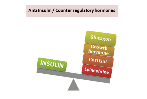 insulin, anti insulin hormones