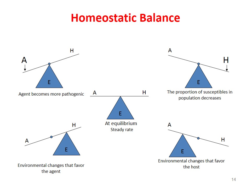 Homeostatic balance