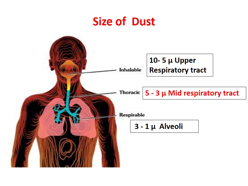 size of dust