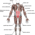 Tendinitis